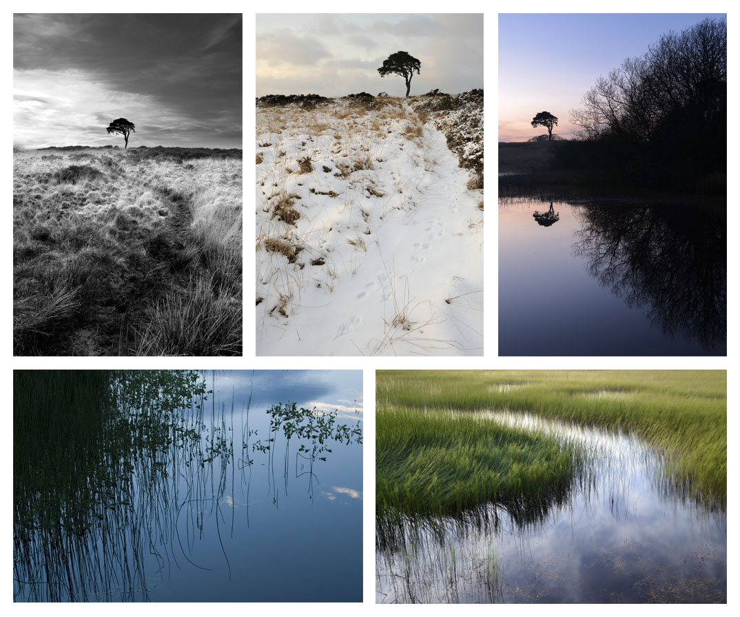 A series of pictures of the Waldegrave Pond near Priddy, Somerset.