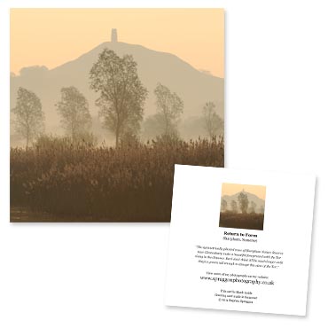 “Return to Form” greeting card