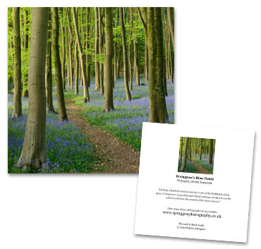 “Wrington's Blue Patch” greeting card